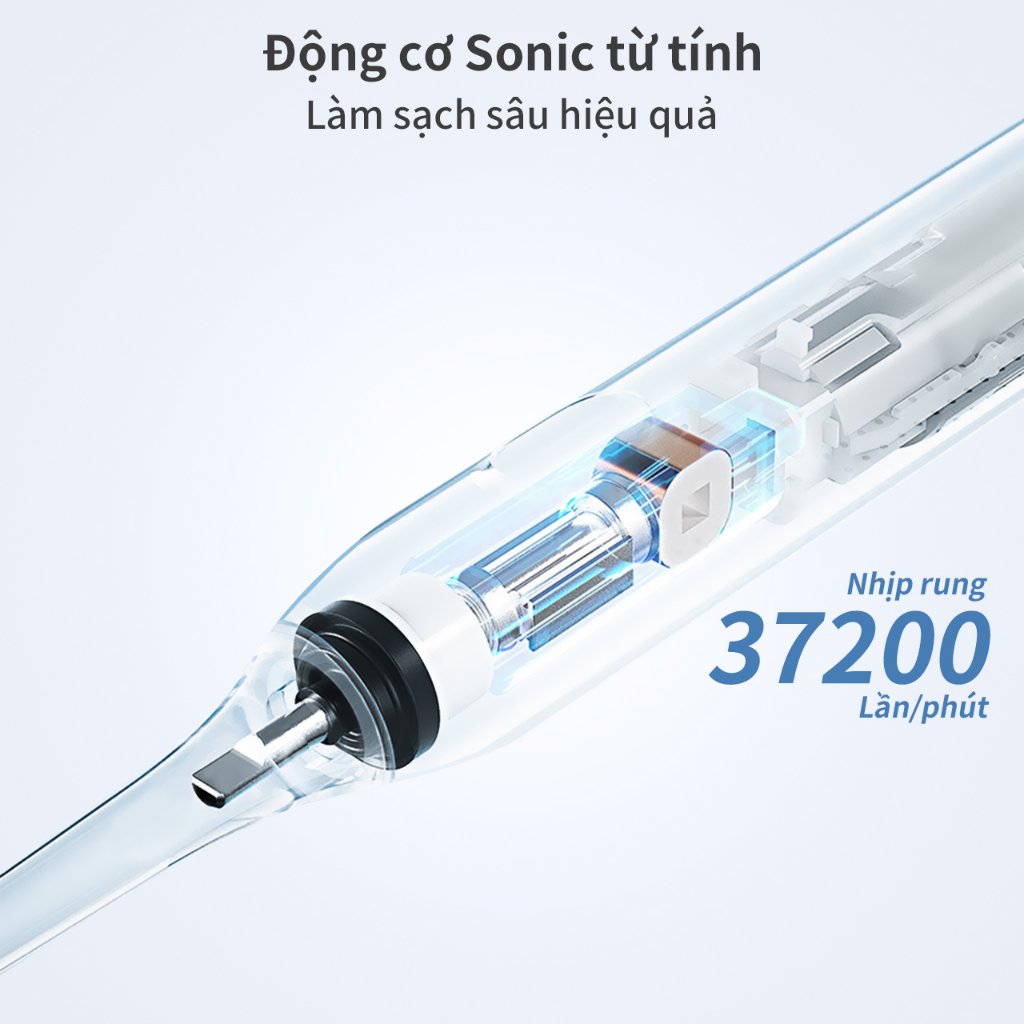 Chức năng thông minh Động cơ Sonic từ tính Bàn chải đánh răng điện rung Làm trắng răng Đầu bàn chải DuPont