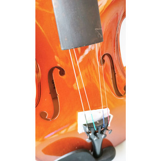Đàn Violin Gỗ Plywood 4/4