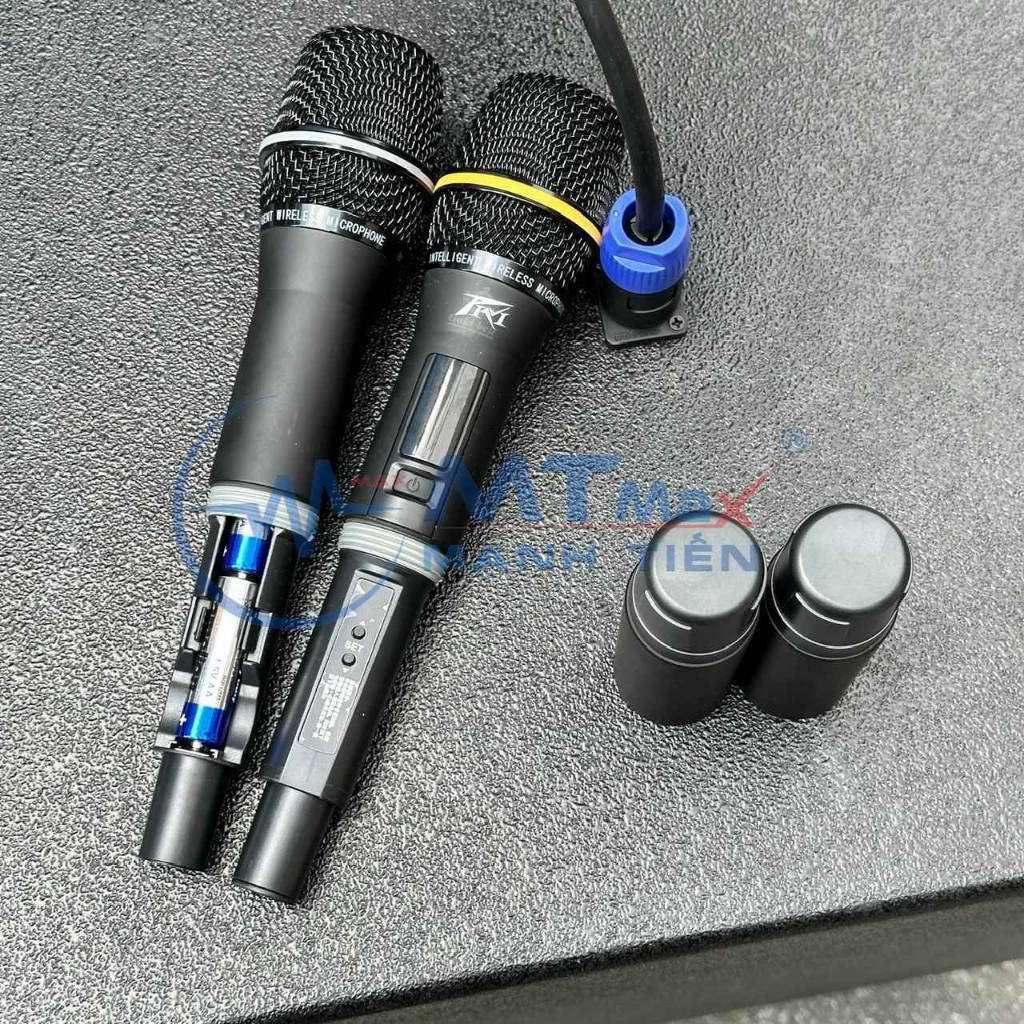 Loa Kéo Karaoke LW1565 Công Suất 500W Kèm 2 Micro Bluetooth Bass 40cm Siêu Trầm Hỗ Trợ Bluetooth, USB, Thẻ Nhớ.