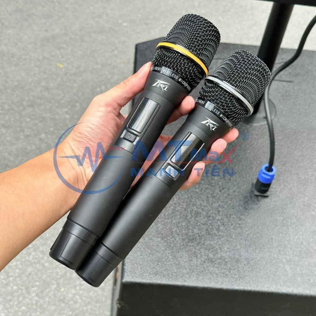 Loa Kéo Karaoke LW1565 Công Suất 500W Kèm 2 Micro Bluetooth Bass 40cm Siêu Trầm Hỗ Trợ Bluetooth, USB, Thẻ Nhớ.