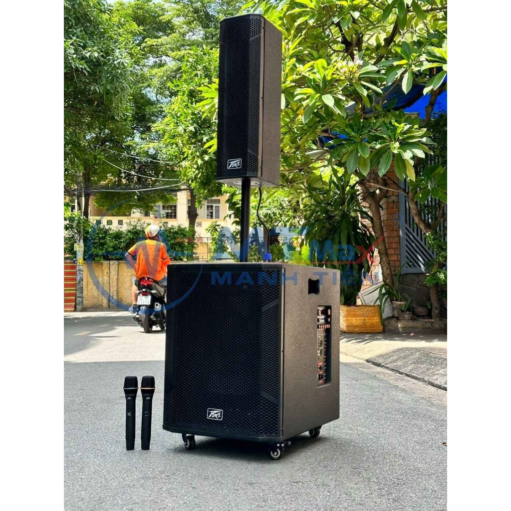 Loa Kéo Karaoke LW1565 Công Suất 500W Kèm 2 Micro Bluetooth Bass 40cm Siêu Trầm Hỗ Trợ Bluetooth, USB, Thẻ Nhớ.