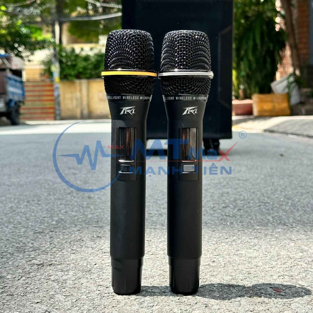 Loa Kéo Karaoke LW1565 Công Suất 500W Kèm 2 Micro Bluetooth Bass 40cm Siêu Trầm Hỗ Trợ Bluetooth, USB, Thẻ Nhớ.