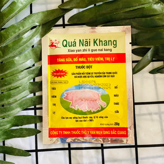 Quá nãi khang. heo mẹ ăn heo con khỏi tiêu chảy
