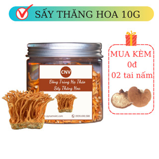 Đông Trùng Hạ Thảo khô sấy thăng hoa 10G loại vụn - Cây Nấm Việt