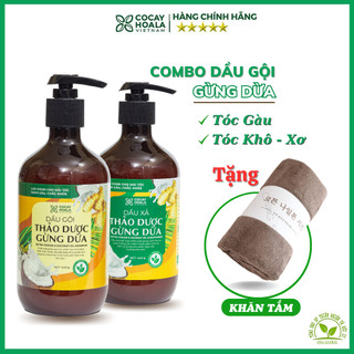 Combo gội xả thảo dược gừng dừa Cocayhoala thiên nhiên hữu cơ cao ngăn gãy rụng kích thích mọc tóc chai 440g