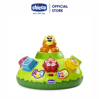 Đồ chơi luyện ngôn ngữ Chicco Chuột chũi thông minh
