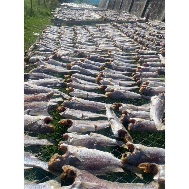 KHÔ ĐÙ CÀ MAU NGÂN QUÊ CON NHỎ NGON VỊ MẶN,KHÔ GIÒN , TÚI 500GR 75k