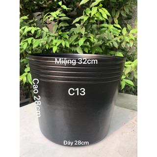 Chậu nhựa trồng cây 10 cái C13 đen dày dặn