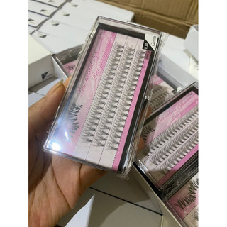 Mi chùm hồng cong Cc007/010