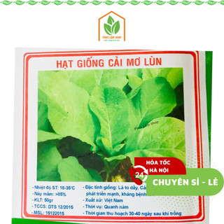 Hạt giống cải mơ đăm lùn cao sản, hạt giống rau cải mơ lùn F1 tỷ lệ nảy mầm cao