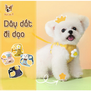 Dây dắt thú cưng đi dạo kèm yếm nhà của ú - đai yếm dây dắt chó mèo
