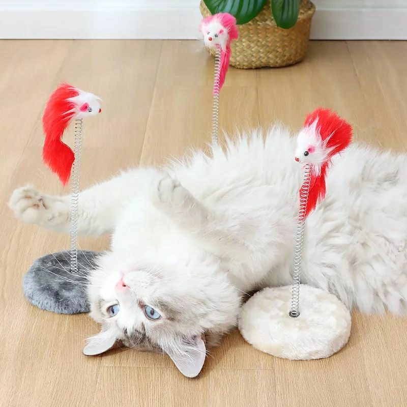 💥 Chuột lò xo có chân đế - đồ chơi cho mèo