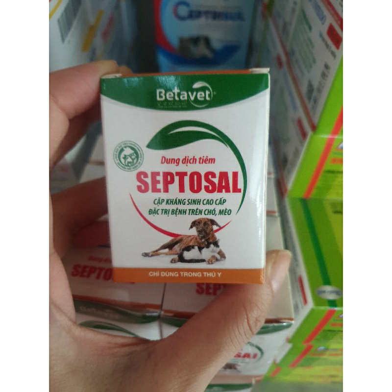 1 cặp 10ml ks cho chó mèo SEPTOSAL