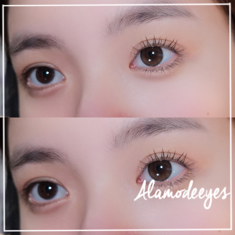 Lens nâu trân châu