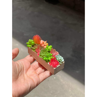Mô hình chậu cây xương rồng dài mini cho nhà Búp bê