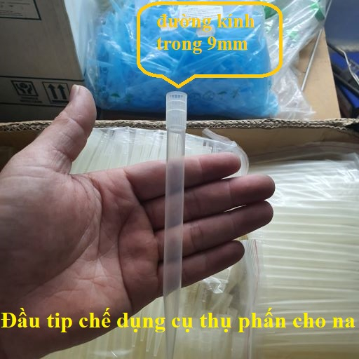 Đầu Tip - Côn Trắng dùng Chế dụng cụ thụ phấn cho cây NA