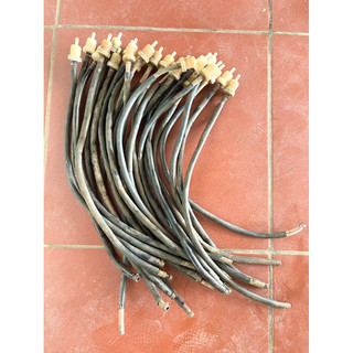 Dây ti ô xăng có cốc lọc xăng