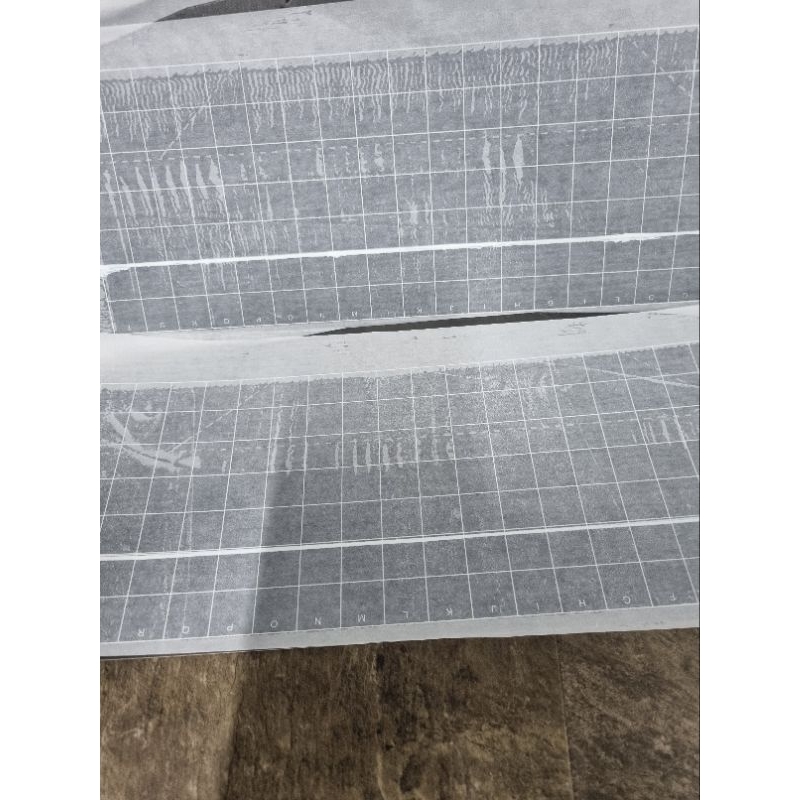 Tấm dính đèn bẫy côn trùng DS