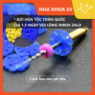 Cánh hoa mai nội nha | tiệt khuẩn