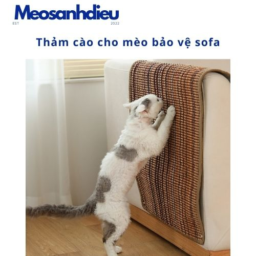 Thảm cào móng cho mèo size lớn, thảm bảo vệ sofa chống trầy xước cho mèo, thảm lót ổ cho mèo- Mèo sành điệu
