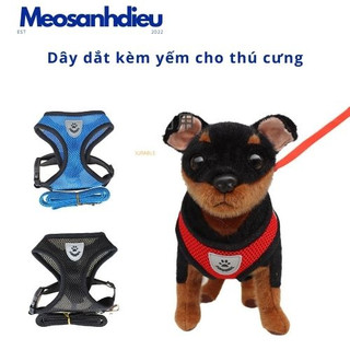 Dây dắt thú cưng 1m2 có yếm, dây dắt đi dạo kiểu dáng đáng yêu- Mèo sành điệu
