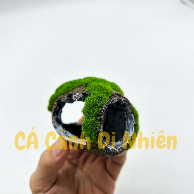 Mô hình thùng r.ư.ợ.u vỡ phủ rêu giả tiểu cảnh trang trí hồ cá thủy sinh 8x5cm