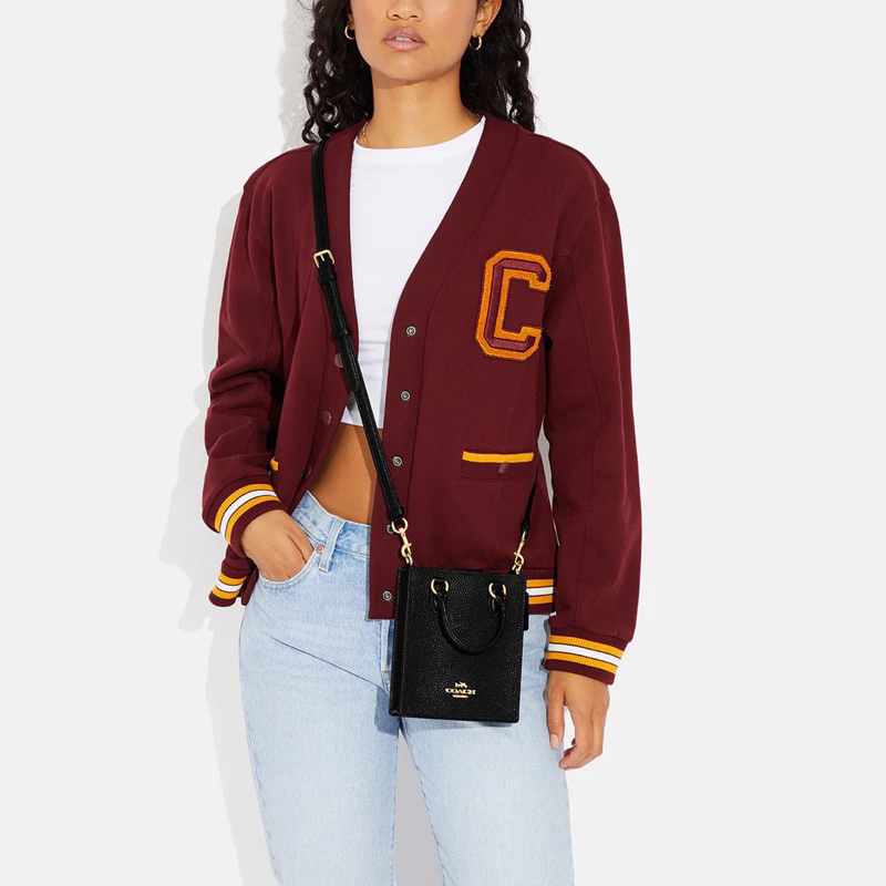 Túi Coach north south tote mini