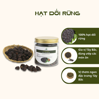 Hạt Dổi Rừng Mùa Vàng Food Đặc Sản Tây Bắc 100% Tự Nhiên