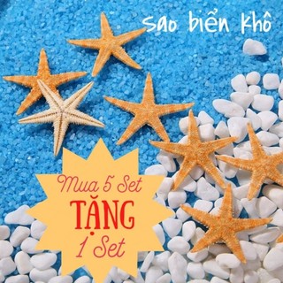 Sao Biển Khô dùng trong thủ công Epoxy Resin