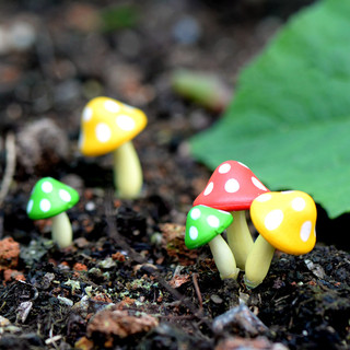 Nấm rơm trang trí Tiểu cảnh mini, Phụ kiện trang trí Tiểu cảnh Bàn học, Terrarium, Bể bán cạn