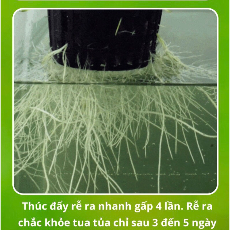 Combo 5 gói phân bón MAGIE NITRATE Béo Mập - Đẹp Như Mơ