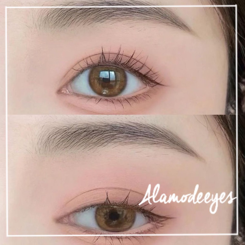 Lens nâu gỗ tây áp