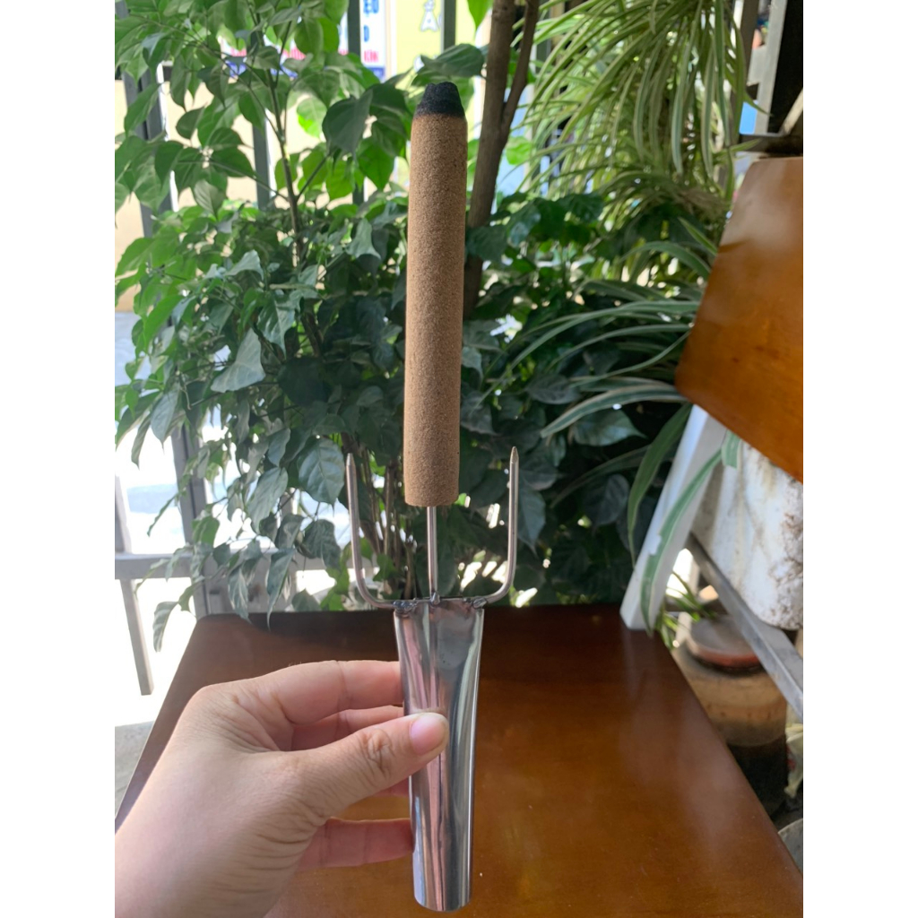 Dĩa Xiên 3 Điếu Ngải Cứu Diện Chẩn - QDH18