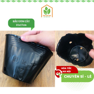 1kg Bầu ươm cây size 21x17 loại dày , túi ươm cây con, chậu nhựa dẻo trồng và ươm giống cây - Phúc Lâm Shop
