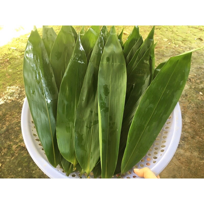 Lá tre khô zieto 10-12cm gói bánh sấp 1kg