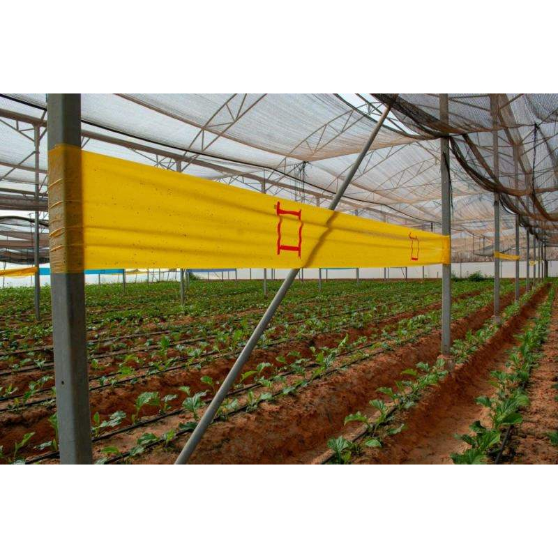 Cuộn bẫy dính côn trùng