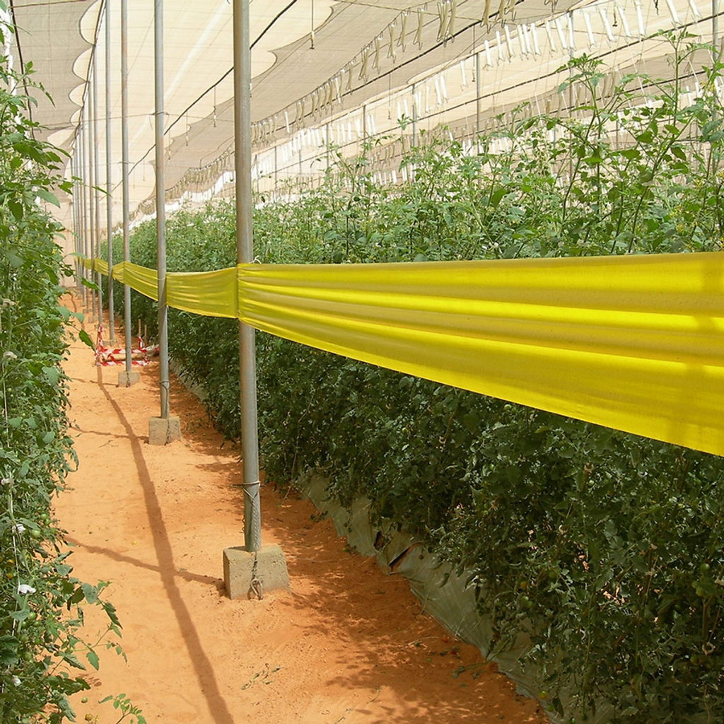 Cuộn bẫy dính côn trùng