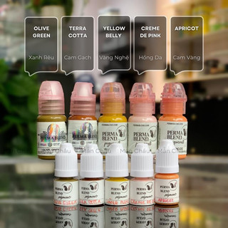 Mực Perma Blend phun xăm Chính Hãng