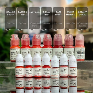 Mực Perma Blend phun xăm Chính Hãng