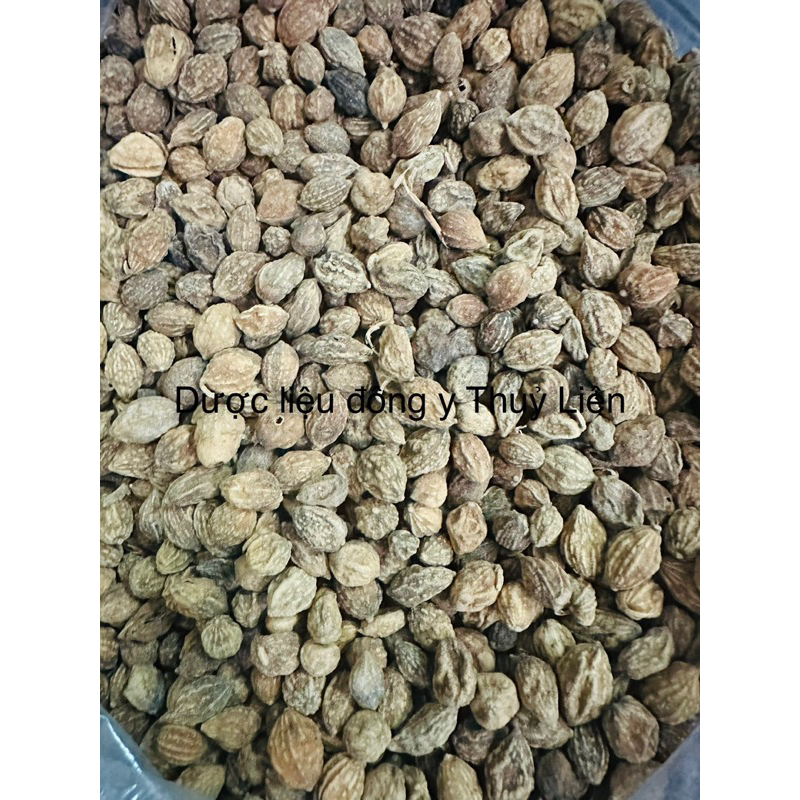 ÍCH TRÍ NHÂN loại 1