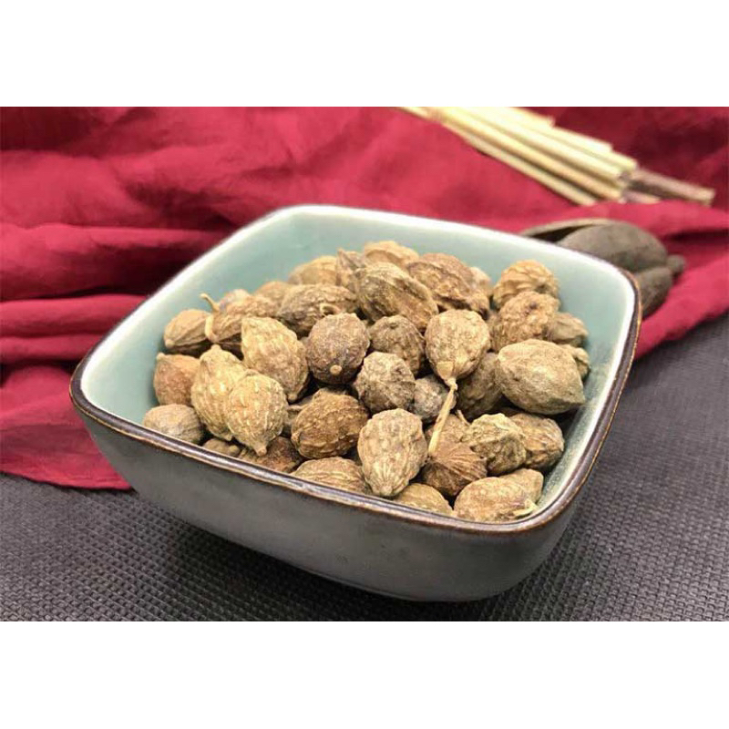 ÍCH TRÍ NHÂN loại 1