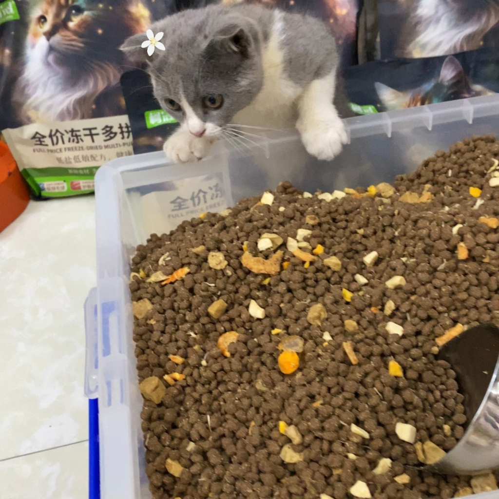 Hạt Siêu Topping GV - CatFood Dành Cho Mèo Kén Ăn, Mọi Lứa Tuổi KUPETSHOP