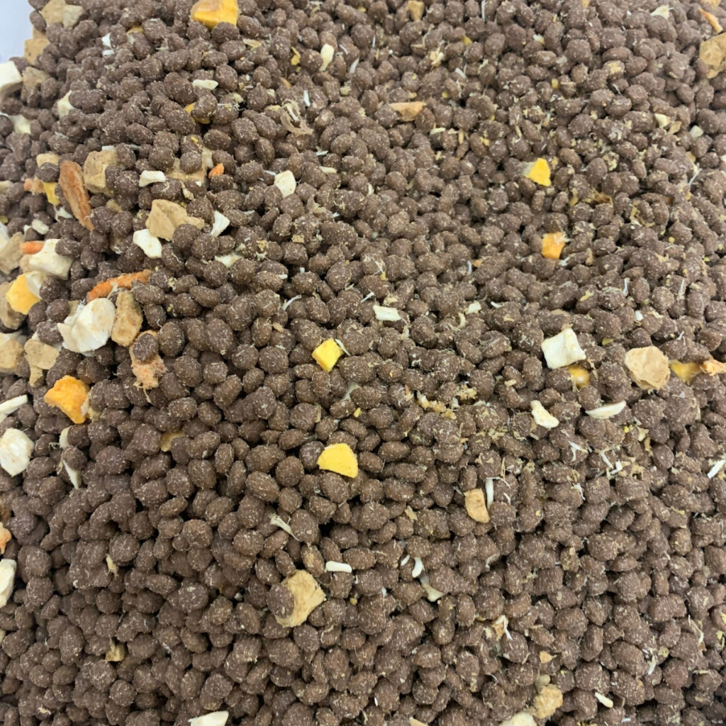 Hạt Siêu Topping GV - CatFood Dành Cho Mèo Kén Ăn, Mọi Lứa Tuổi KUPETSHOP