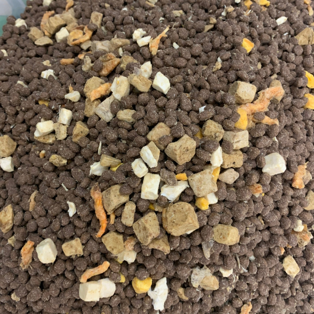 Hạt Siêu Topping GV - CatFood Dành Cho Mèo Kén Ăn, Mọi Lứa Tuổi KUPETSHOP