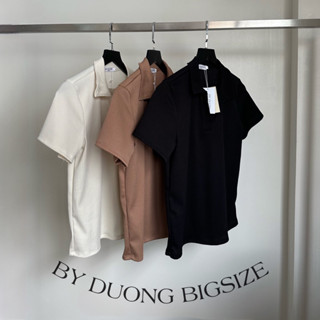 Áo Polo Basic thun gân BIGSIZE 55-75KG QP03 - [BY DUONG BIGSIZE]