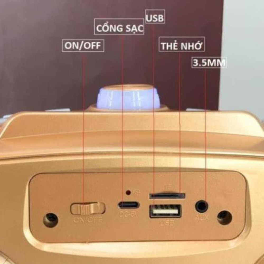 Loa Karaoke Bluetooth SD306 Plus, Kèm 2 Micro Không Dây Chỉnh Echo, Reverb Trên Thân Mic, Âm Bass Cực Hay, BH 6 Tháng