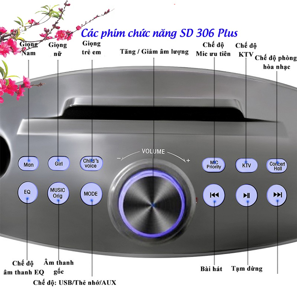 Loa Karaoke Bluetooth SD306 Plus, Kèm 2 Micro Không Dây Chỉnh Echo, Reverb Trên Thân Mic, Âm Bass Cực Hay, BH 6 Tháng