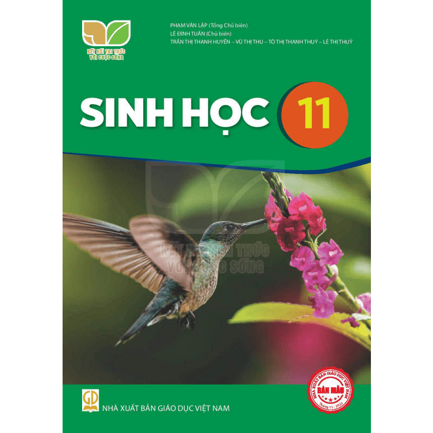 Sách - Sinh học 11 - Kết nối tri thức với cuộc sống | BigBuy360 - bigbuy360.vn