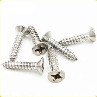 100g Vít gỗ inox