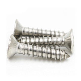 100g Vít gỗ inox